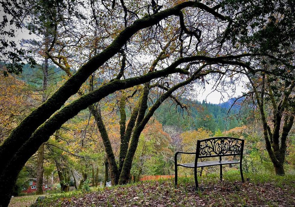 Avenue Of The Giants Pepperwood Place Miranda Exteriér fotografie